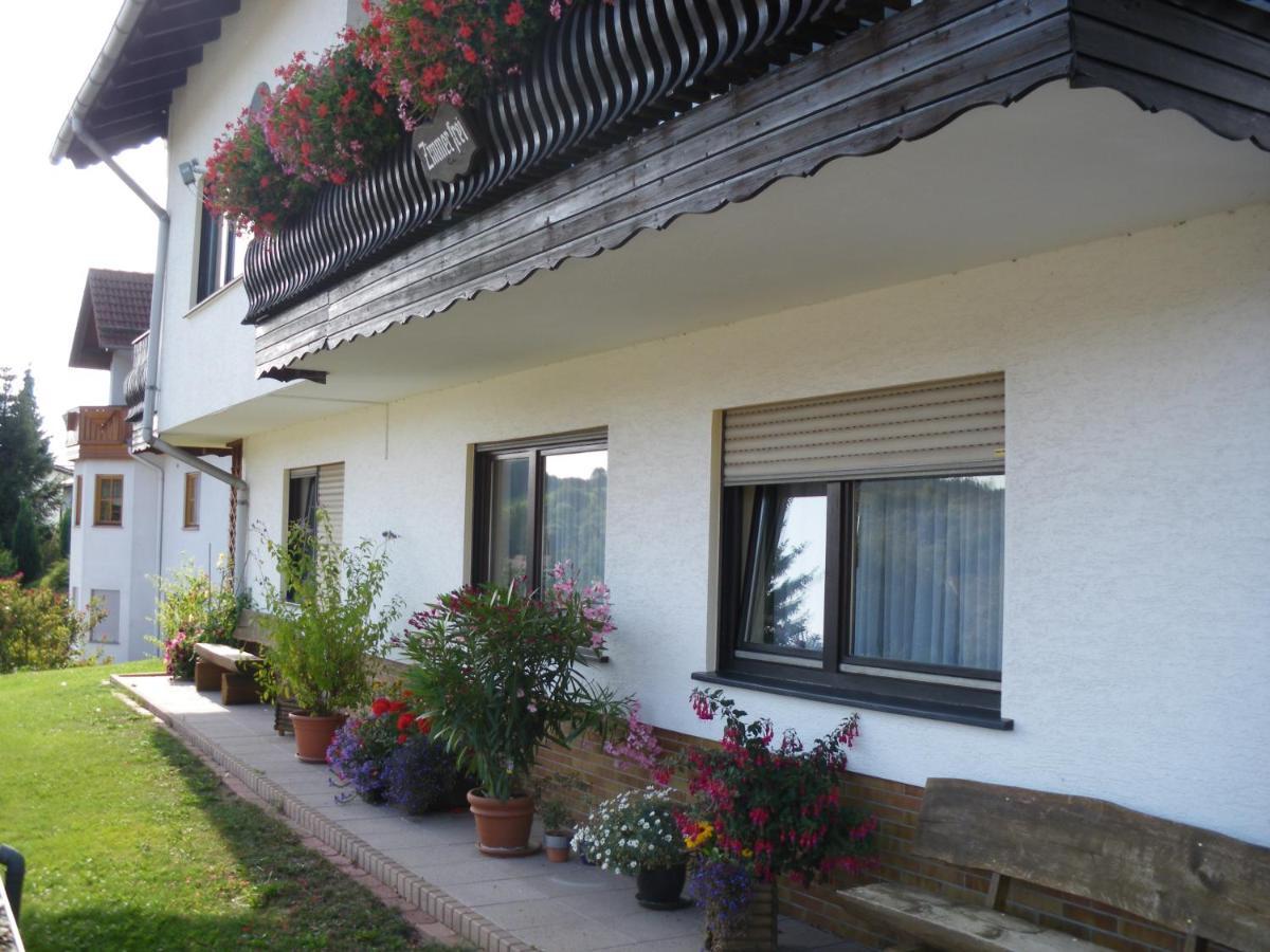 Pension Haus Ludwig Шоттен Экстерьер фото